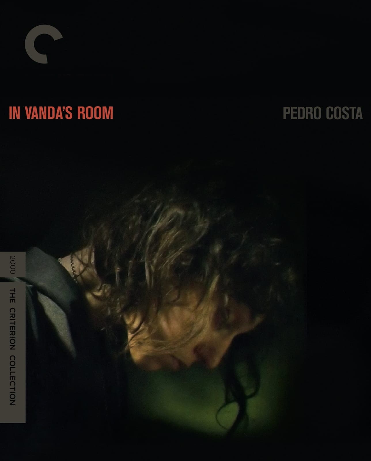 Poster for In Vanda’s Room