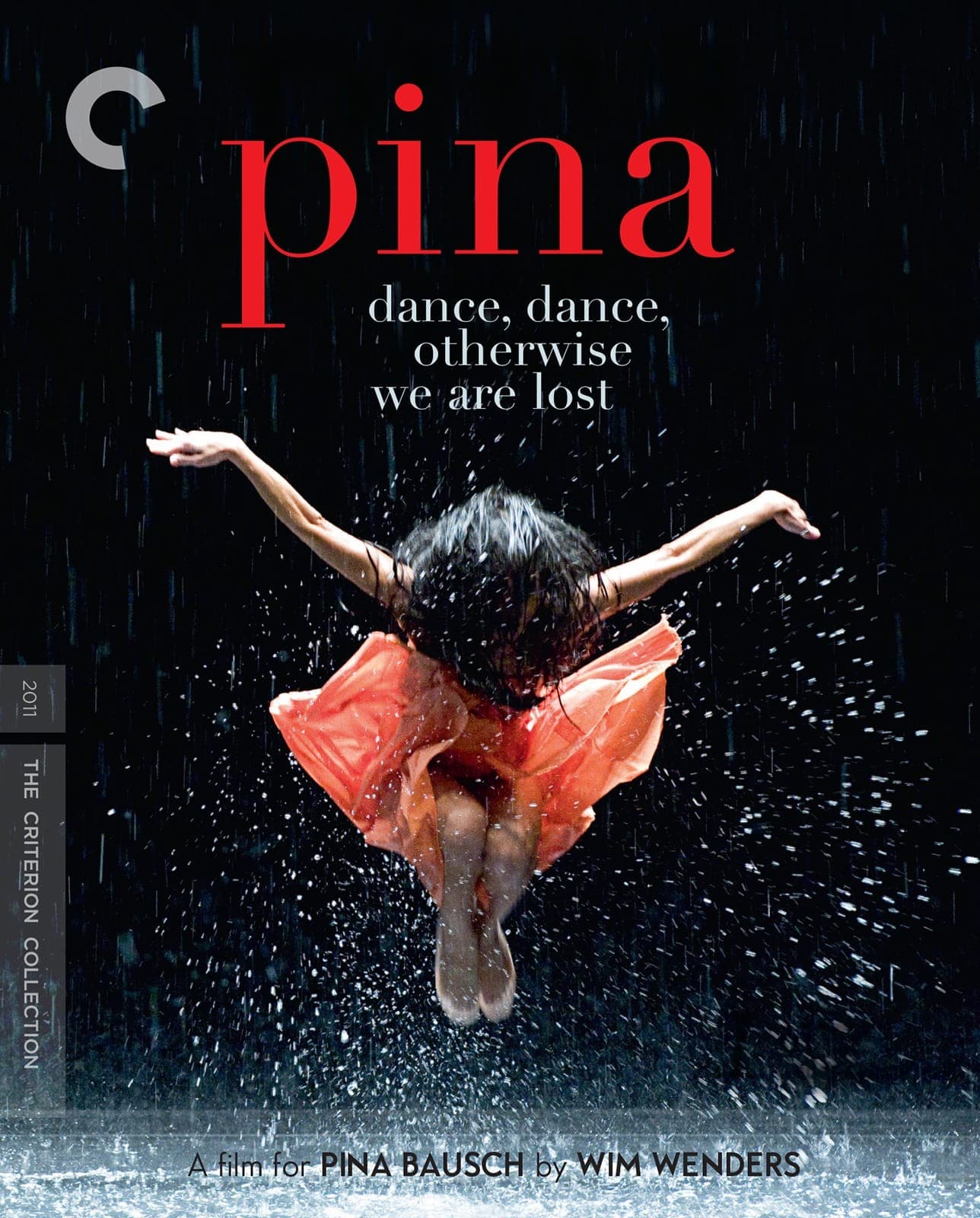 Poster for Pina