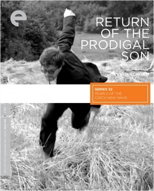 Poster for Return of the Prodigal Son
