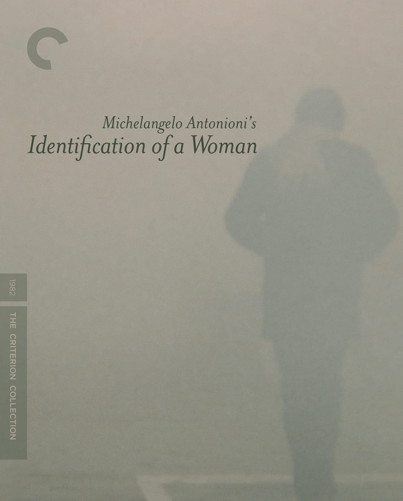 Poster for Identification of a Woman