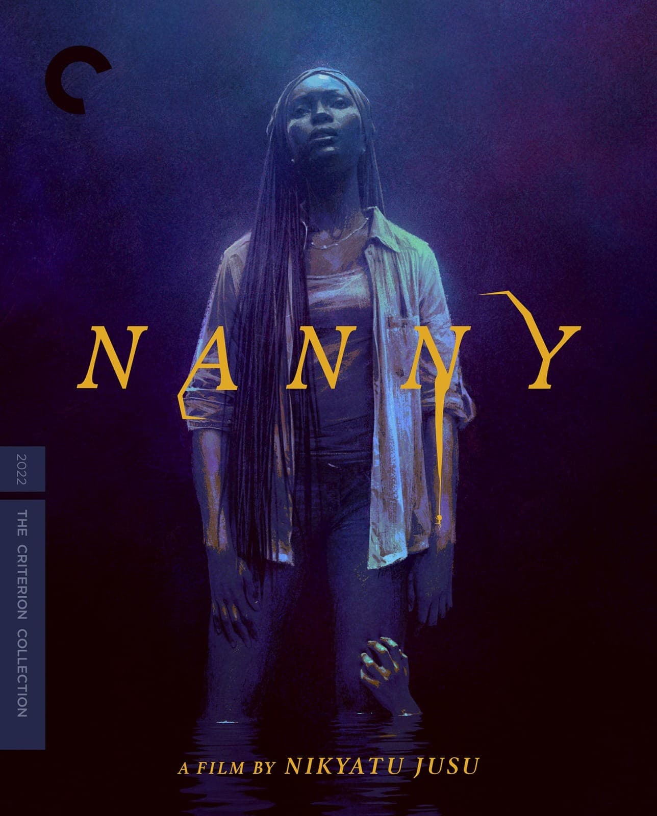 Poster for Nanny