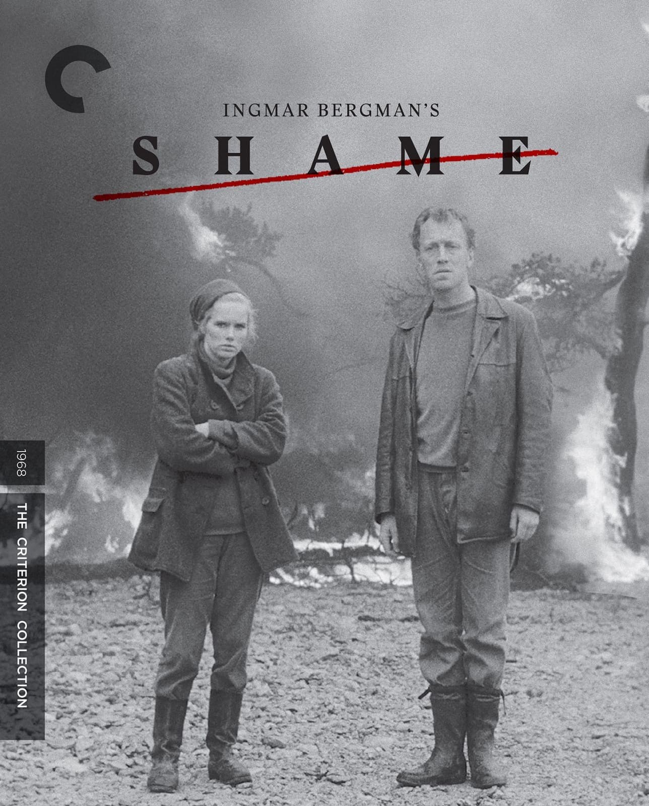 Poster for Shame